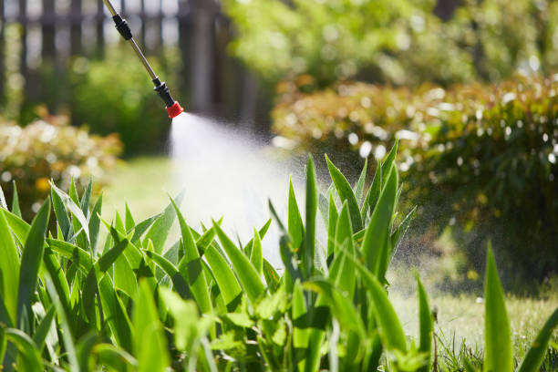 24/7 Emergency Mosquito Control experts in Marin City, CA